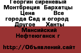 Георгин сиреневый. Монтбреция. Бархатцы.  › Цена ­ 100 - Все города Сад и огород » Другое   . Ханты-Мансийский,Нефтеюганск г.